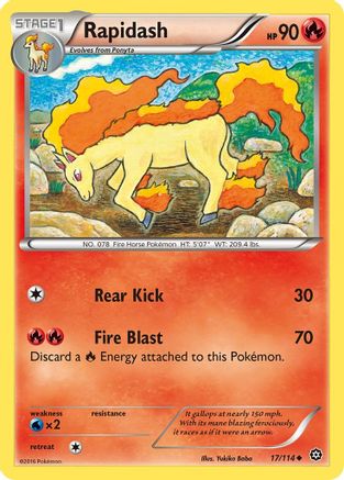 Rapidash (017/114) [XY  Steam Siege] Normal - Uncommon
