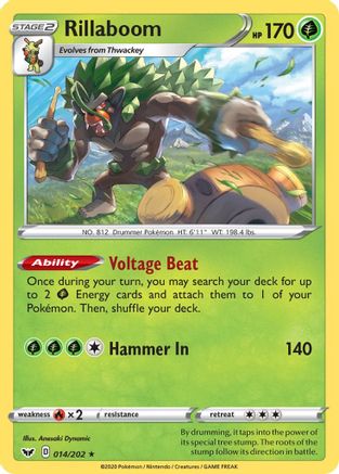Rillaboom (14/202) [Deck Exclusives] Normal - Rare