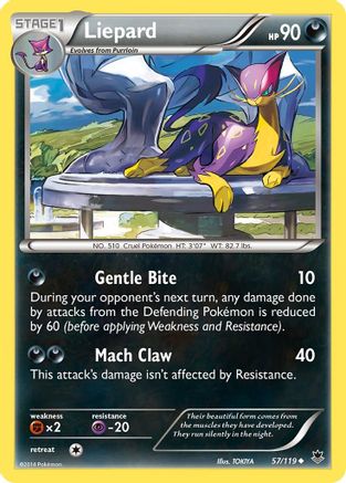 Liepard (57/119) [XY  Phantom Forces] Normal - Uncommon